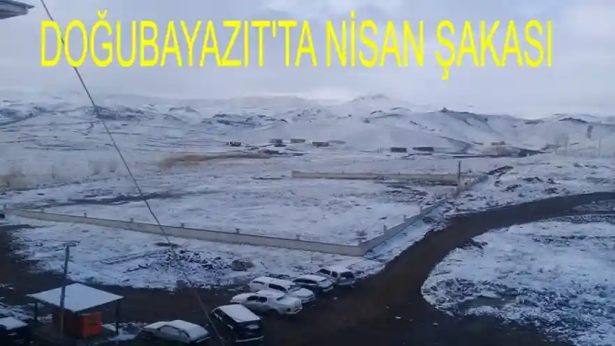 DOĞUBAYAZIT'TA NİSAN ŞAKASI