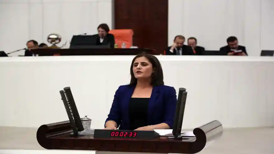 Taşdemir'den  Nisan ayı içerisinde erkek şiddeti sonucu yaşamını yitiren kadınlara ilişkin soru önergesi

