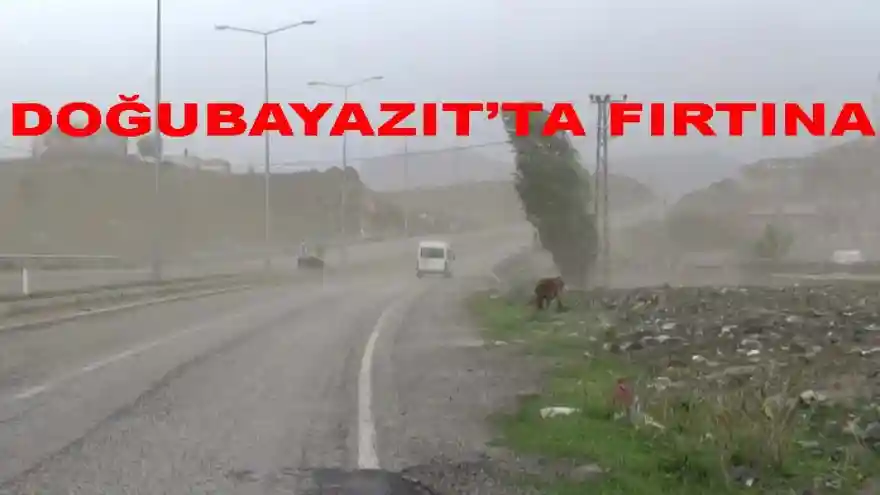 Fırtına, Iğdır-Doğubayazıt karayolunda etkili oldu