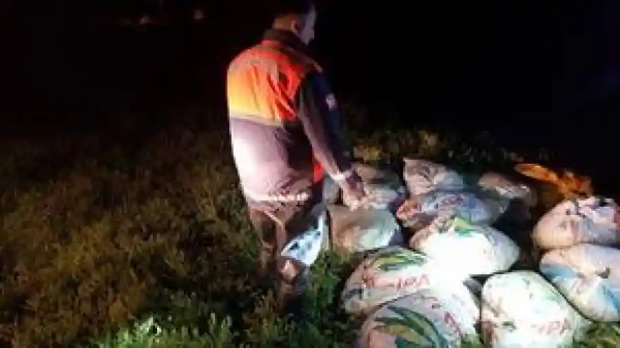 Van'da kaçak avlanan 10 ton inci kefali ele geçirildi