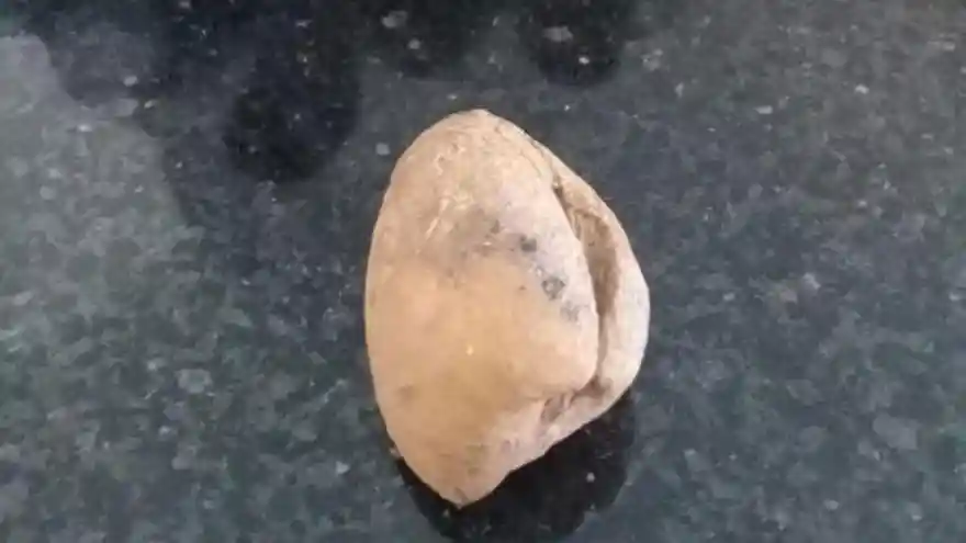 Iğdır'da bulundu... Fotoğraf çektirmek için sıraya girdiler