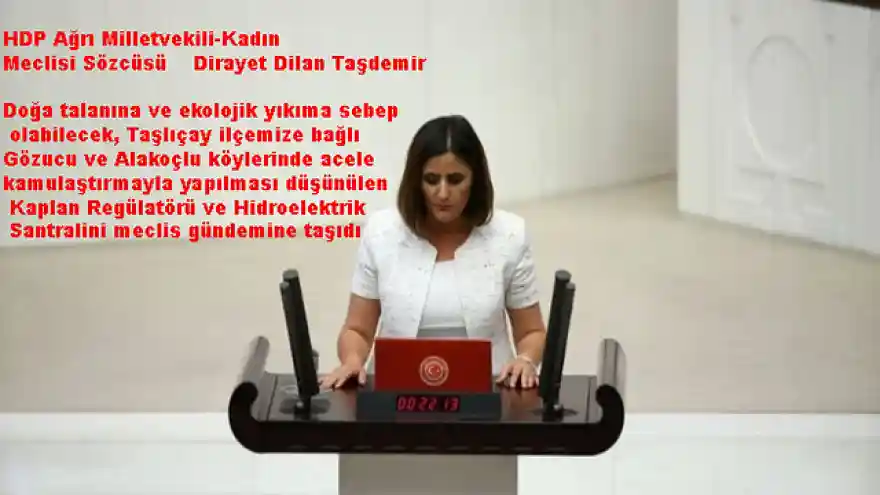 AĞRI TAŞLIÇAY İLÇESİNDE ACELE KAMULAŞTIRMA VE HES PROJESİNE DAİR SORU ÖNERGESİ