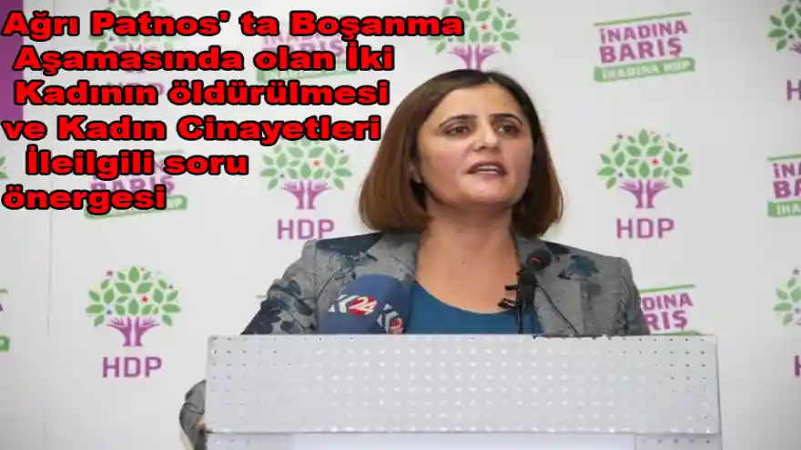 Ağrı Patnos' ta Boşanma Aşamasında olan İki Kadının öldürülmesi ve Kadın Cinayetleri  İleilgili soru önergesi