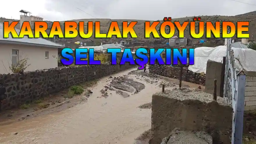 Karabulak'ta sağanak; dere taştı, evleri su bastı