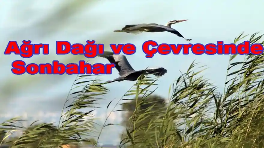 Ağrı Dağı ve Çevresinde Sonbahar