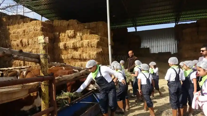 IĞDIR DA ÖĞRENCİLER TARIM İZCİLİĞİ" PROJESİNİ UYGULAMAYA SOKTULAR