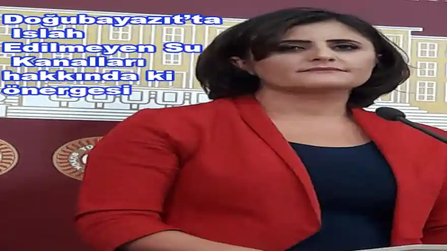 Dirayet Dilan Taşdemir'in Doğubayazıt'ta Islah Edilmeyen Su Kanalları ile ilgili önergesi