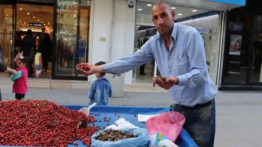 Yabani meyvelerle kışa hazırlık
