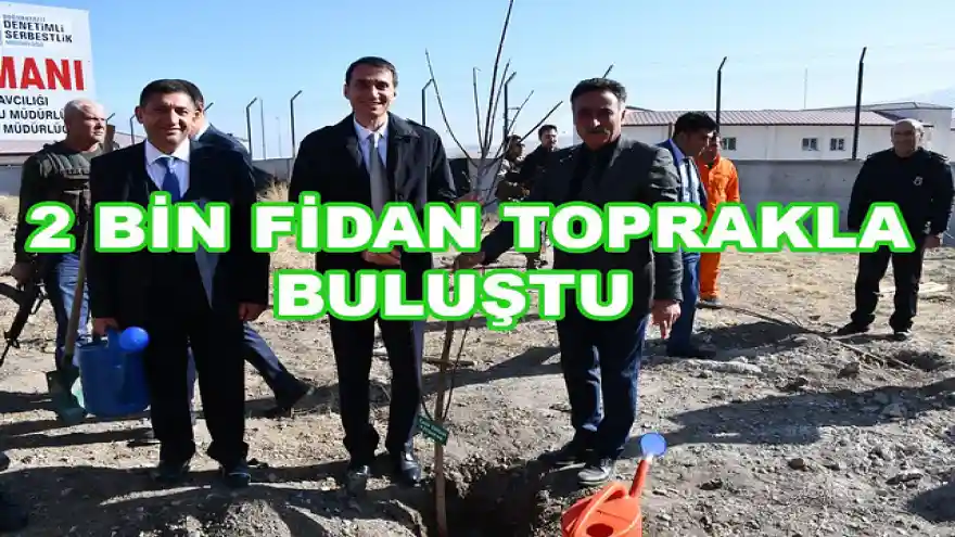 2 BİN FİDAN TOPRAKLA BULUŞTU