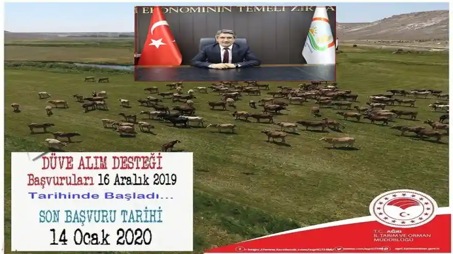 2019 YILI %40 HİBELİ DÜVE ALIM DESTEĞİ BAŞVURULARI BAŞLADI.