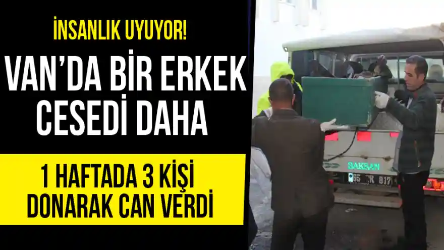 Tüm dünya uykuda! Van'da bir kişi daha donarak can verdi