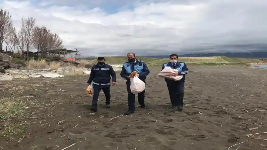 Erciş’te Sokak Hayvanları ve Yabani Hayvanlar İçin Doğaya Yiyecek Bırakılıyor