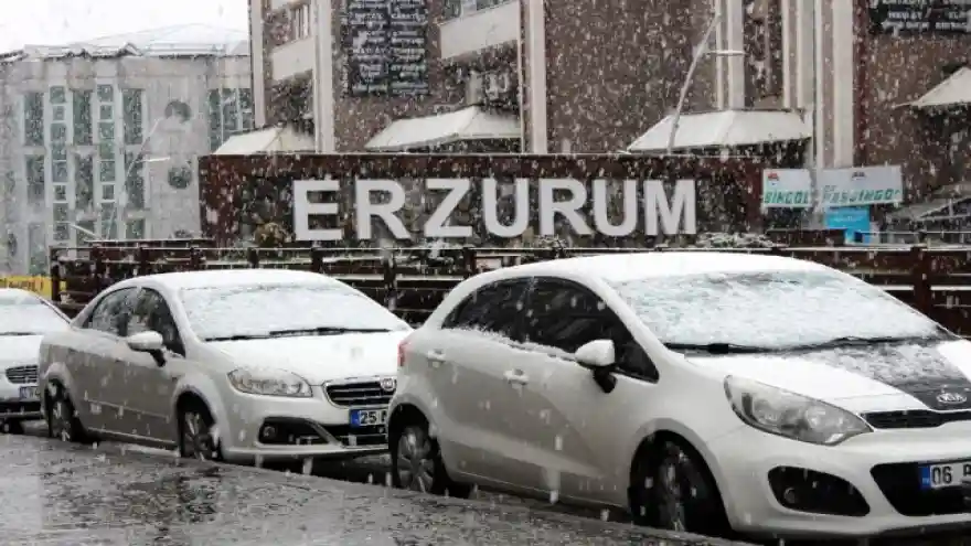 Erzurum'da baharı beklerken kış geri geldi