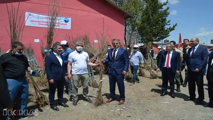 Ağrı'da 60 bin meyve ağacı ücretsiz dağıtıldı 