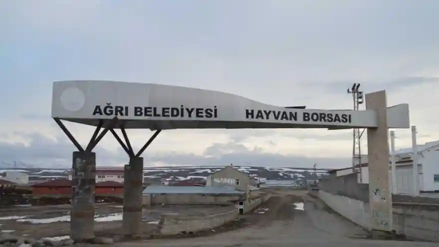 Ağrı Hayvan Borsası Hafta İçi Hergün Açık Olacak   