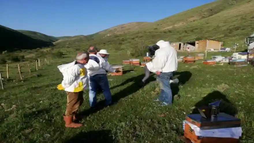 Karadenizli gezgin arıcılar Erzurum'u tercih ediyor