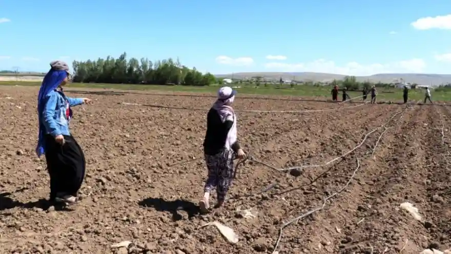 Cumhurbaşkanı Erdoğan'ın çağrısıyla Gevaş'ta üretim seferberliği