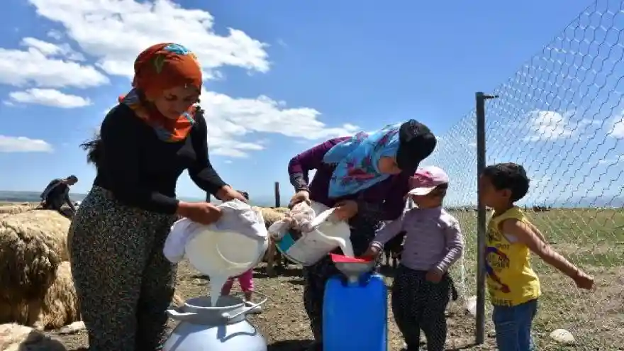 Berivanların atlı faytonlarla süt sağım yolculuğu