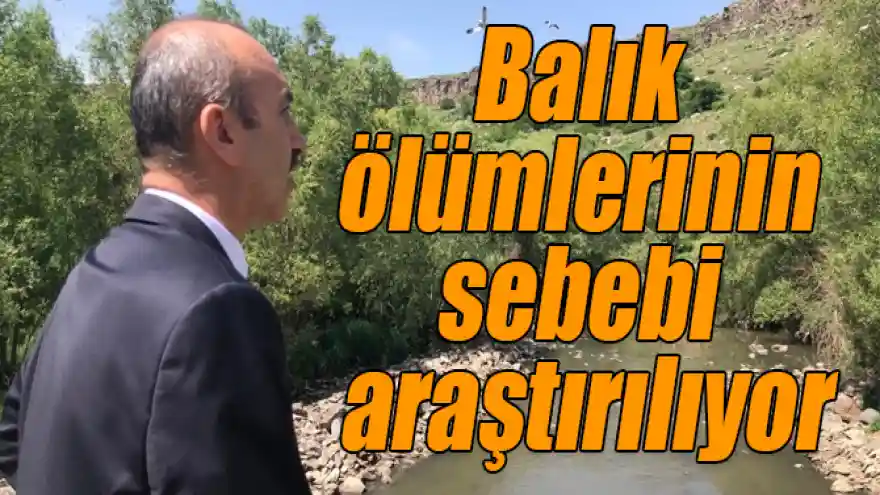 Kars Çayı'nda şüpheli balık ölümlerinin sebebi araştırılıyor