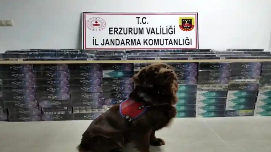 Erzurum'da 5 bin 200 paket kaçak sigara ele geçirildi