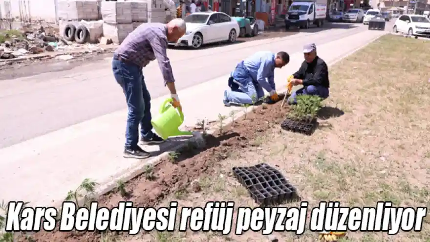 Kars'ta belediye refüj ve peyzaj düzenlemesi yapıyor.