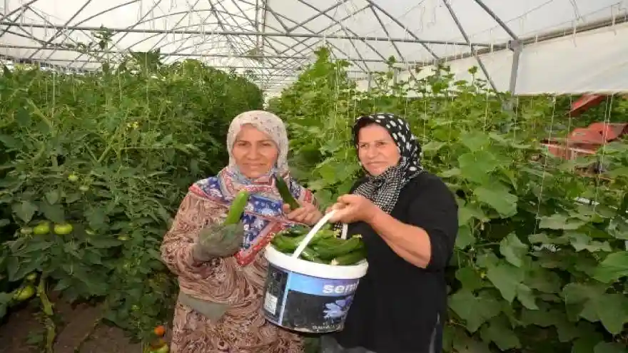 Seracı kız kardeşler