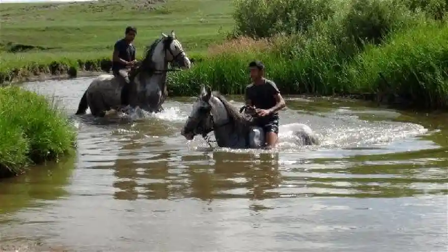 Cirit atları derelerde yıkanıyor