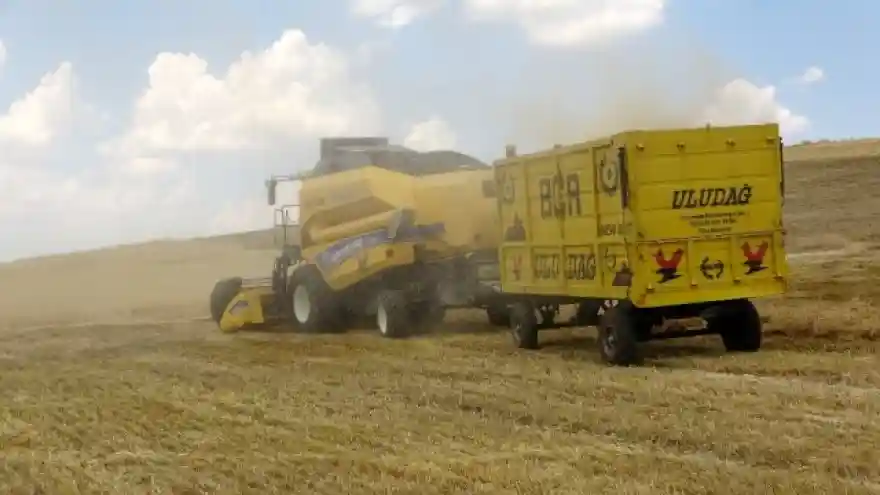 Muş'ta yılın ilk arpa ve buğday hasadına başlandı