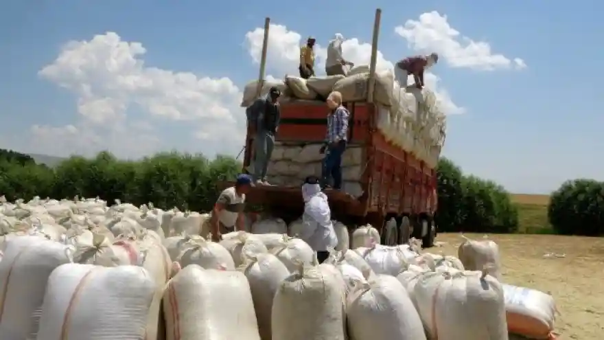 Muş'tan çevre illere saman sevkiyatı