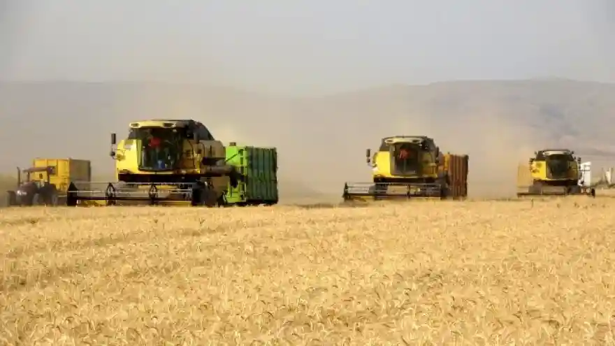 Türkiye'nin sertifikalı tohumları Muş'tan