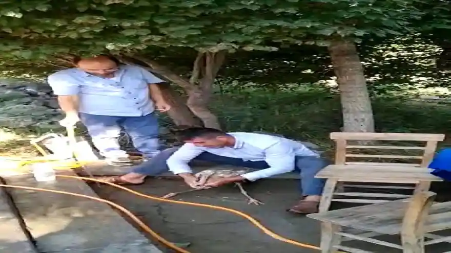 Çamura batan leyleği kurtarıp, hortumdan akan suyla yıkadılar