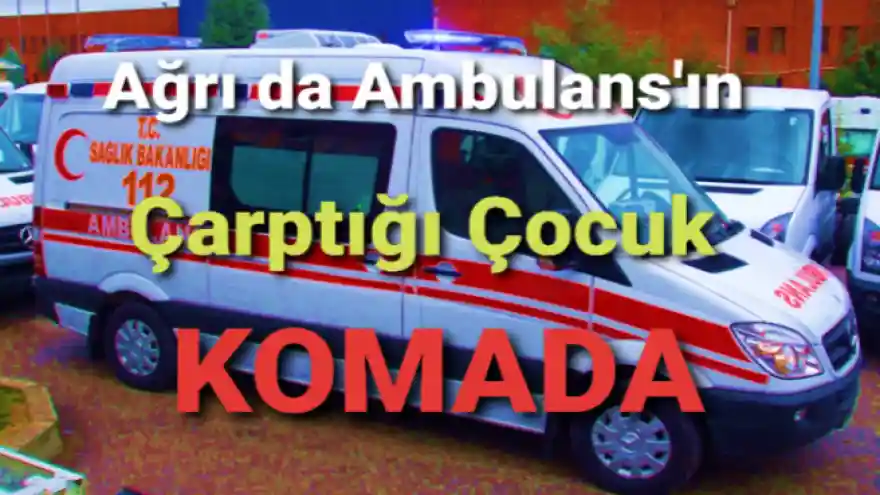 Ağrı da Ambulans Kaza Yaptı