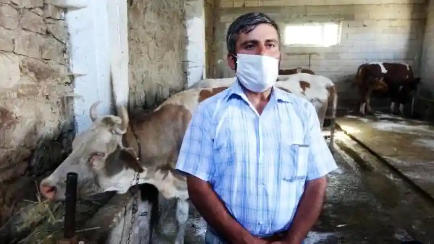 Hibe edilen 4 inekle işsizlikten kurtulan eski hükümlü: Yanlış yola sapmayın