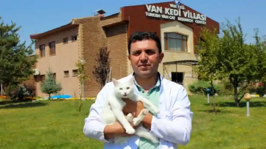 Van kedilerine 23 yıldır gözü gibi bakıyor! 
