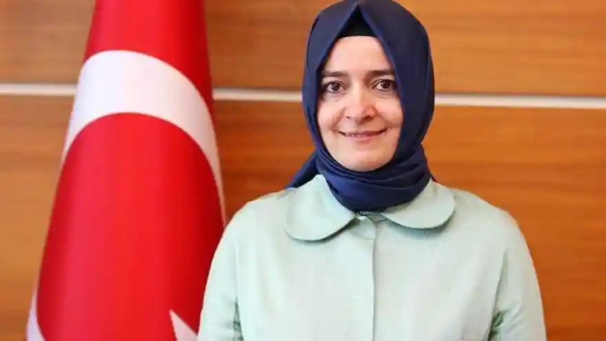 Ak Parti Genel Başkan Yardımcısı Kaya: İstanbul Sözleşmesi'nin yerine 'Ankara Sözleşmesi' hazırlıyor