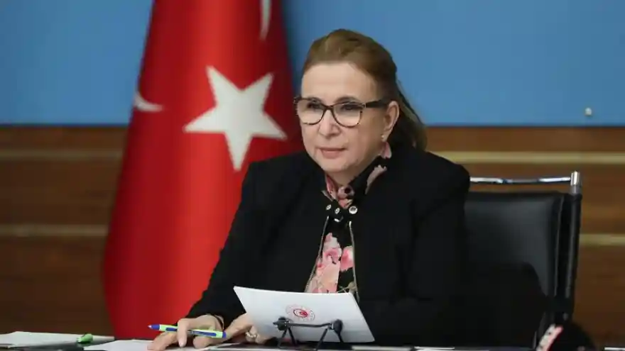 Ticaret Bakanı Pekcan: Türkiye'de e-ticaret hacmi 226.2 milyar liraya yükseldi