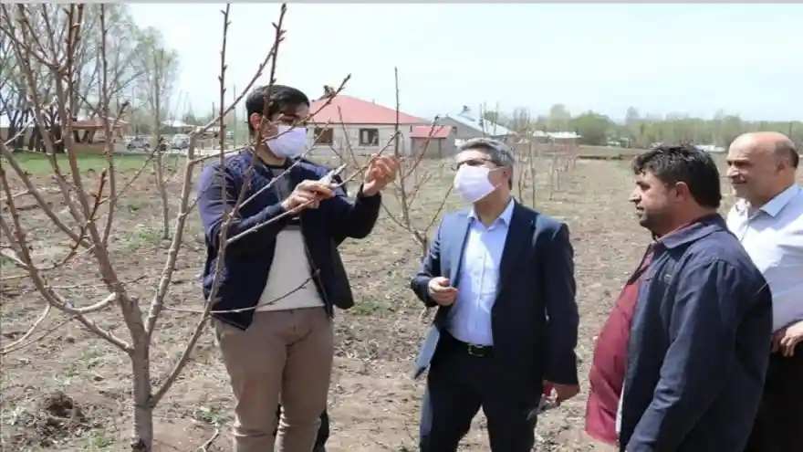 AĞRI'LI ÜRETİCİLERE BUDAMA EĞİTİMİ VERİLDİ
