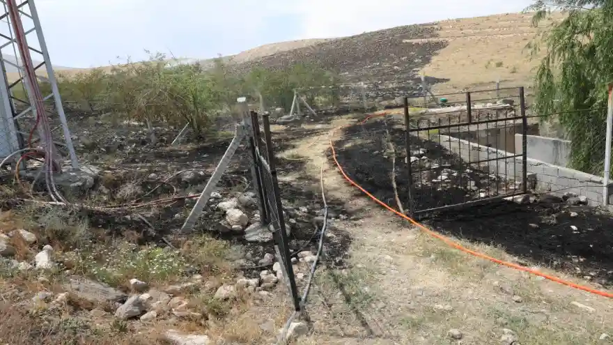 Bal Ormanındaki Yangına Erken Müdahale
