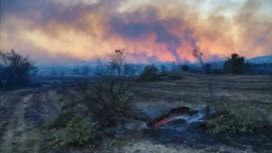  Türkiye’de Ormanlar Alev Alev Yanıyor
