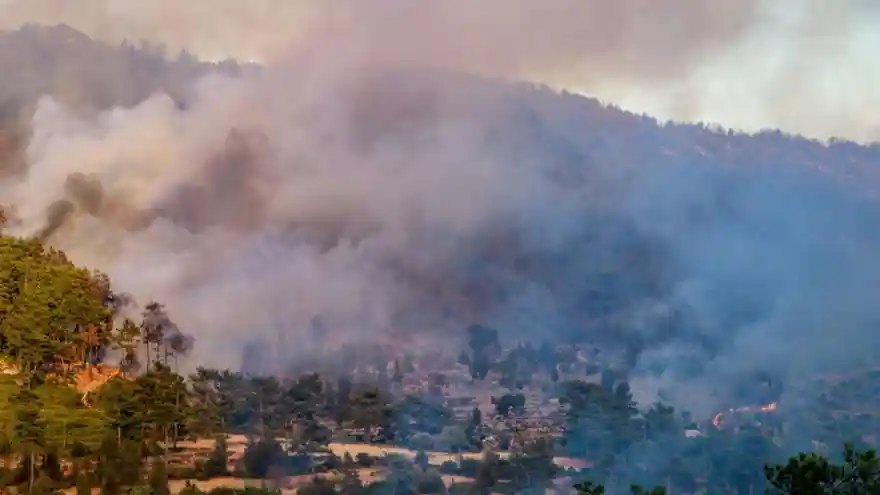 Pakdemirli: 6 ilde 13 farklı yangın devam ediyor