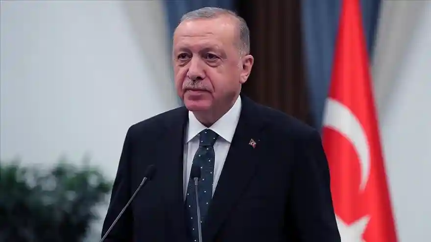 Erdoğan'dan orman yangınlarıyla ilgili talimat: Hiç hesapsız yaraları sarın
