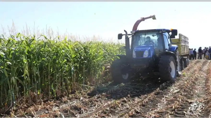 AĞRI'DA SİLAJLIK MISIR HASADI TARLA GÜNÜ YAPILDI