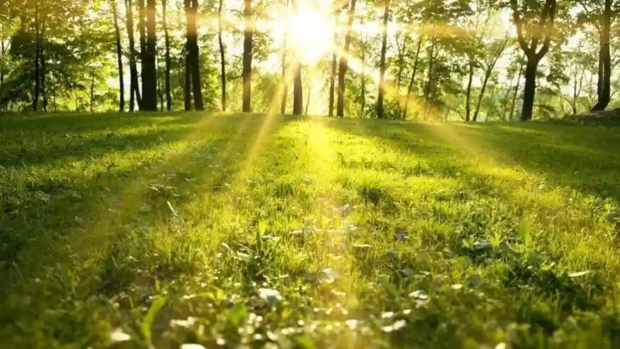 İlk cemre havaya düştü