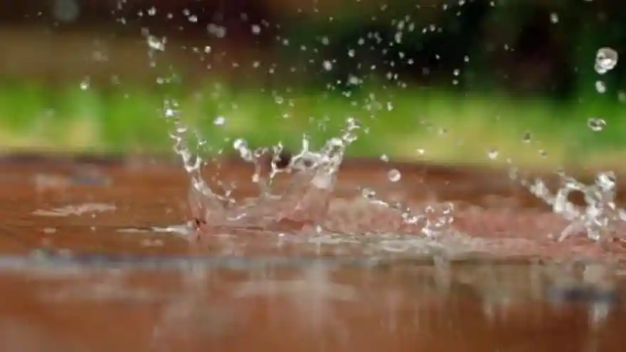 Bahar mevsiminin habercisi olan cemrenin ikincisi suya düştü.