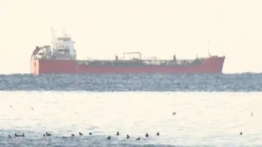 Ayçiçeği yağı yüklü gemi İstanbul Boğazı'na ulaştı