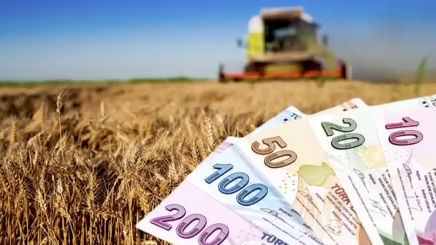 Çiftçilere 116,5 milyon liralık destek ödemesi başlıyor