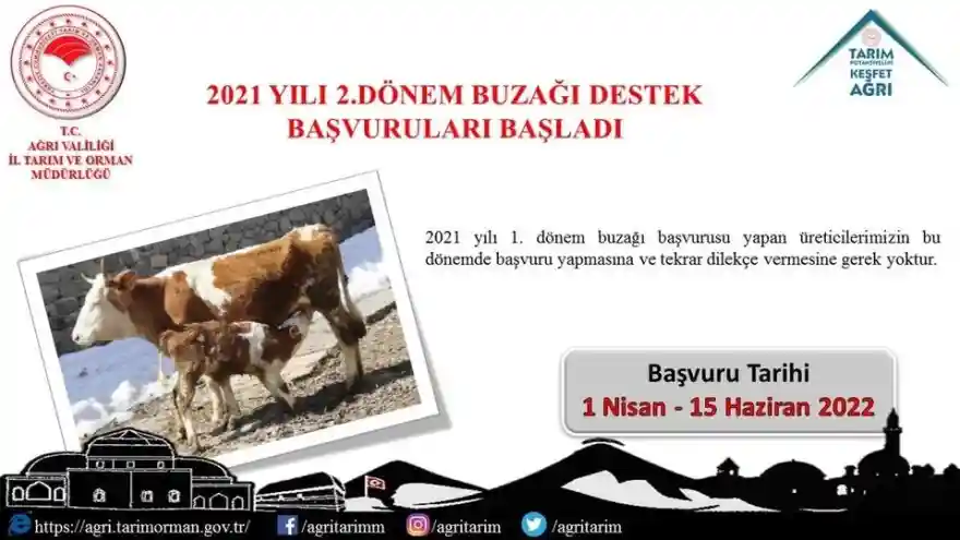 Buzağı Destek Başvuruları Başladı