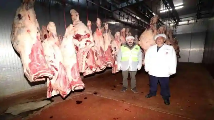 Ağrı Belediyesi, İhtiyaç Sahibi Ailelere Et Yardımı Yapıyor