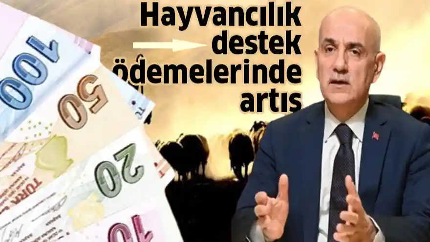 Hayvancılık destek ödemelerinde artış