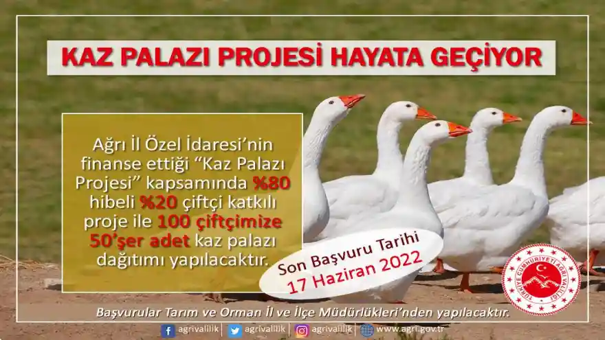 AĞRI VALİLİĞİ ÖNCÜLÜNDE YAPILAN “KAZ PALAZI PROJESİ” HAYATA GEÇİYOR